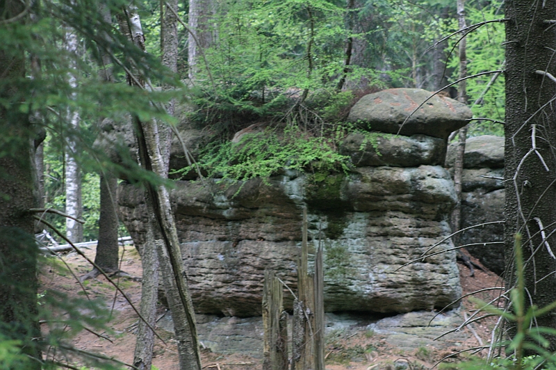 Original image